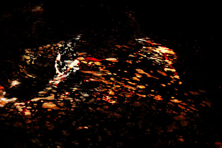 Abstract created from natural elements.