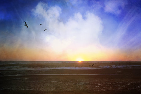 Fantasy beach image with soaring birds and clouds at sunset with textures for an artistic look.の写真素材