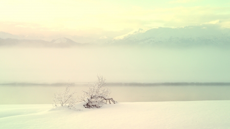 Winter fanstasy scene with snow, fog, mountains and water.の写真素材