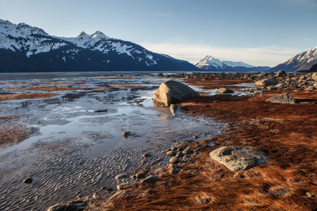Flowing water with patterns in the sand on a beach off the Chilkat Inlet near the Chilkat River...