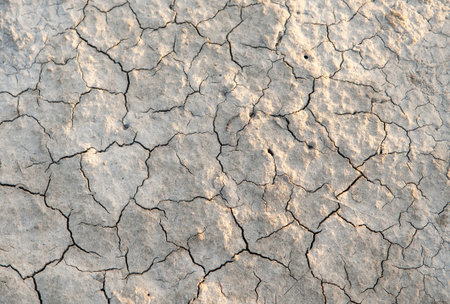 Cracked earth in a dry lake after drought.