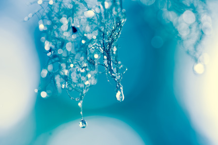 Light hitting drops of dew on moss in a forest close up with a shallow depth of field for a magical abstract.の写真素材