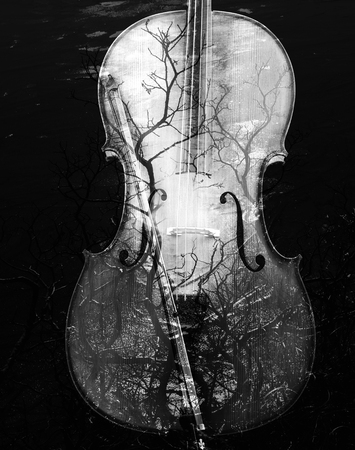 Cello with an artistic overlay of black and white branches.の写真素材