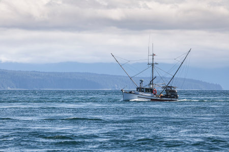 Salmon trolling boat in Lynn Canal in Southeast Alaska in summer.