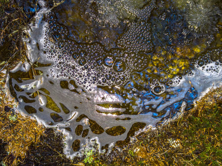 Natural bubbles and foam in a small forest stream close up.
