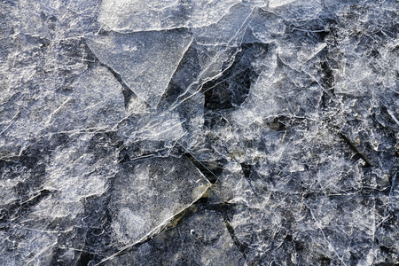 Shards of thin ice on a beach in Southeast Alaska in winter close up.の写真素材