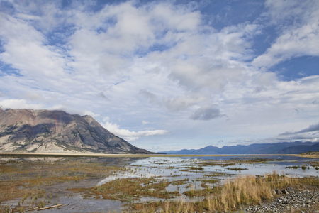 Marsh at one end of Kluane Lake in Yukon Canada in summer with dramatic clouds.の写真素材