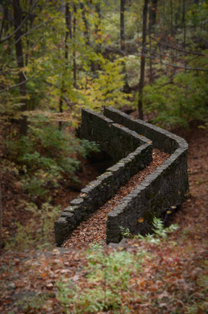 Stone bridge in the forestの写真素材