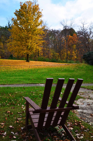 Adirondack chair near beautiful autumn treeの写真素材