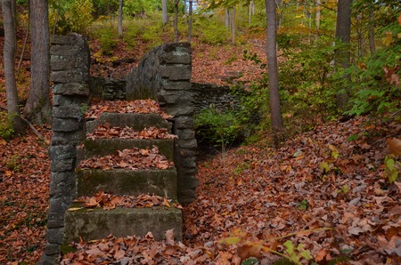 Mossy stone stairs to a bridge in the forestの写真素材