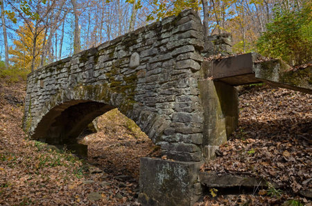 Arch stone bridge in the forestの写真素材