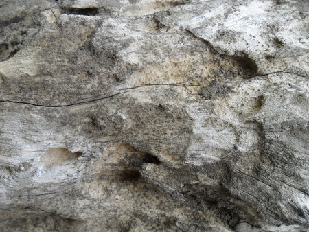 <p>Close up of old wood texture background. Abstract background and texture for design.</p>の写真素材