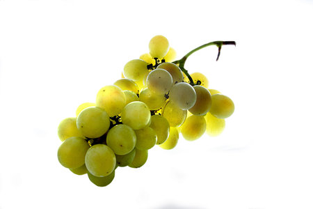  Low Carb Diet fresh grapes