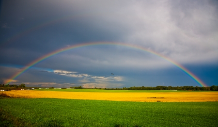 Rainbow  at the country side, Europe, Estoniaの写真素材