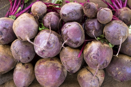 red radishes on market place on a counterの写真素材