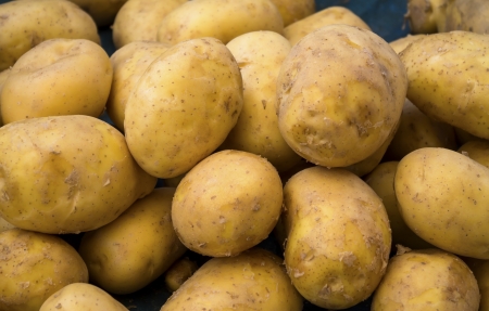Heap of potatoes, background.の写真素材