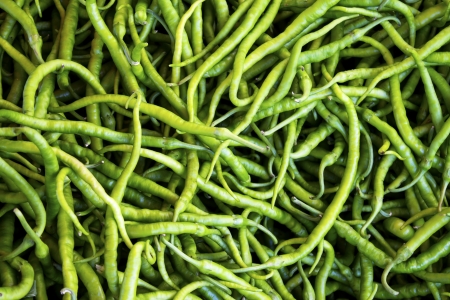 Green peppersの写真素材