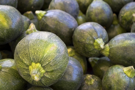 Organic zucchini.の写真素材