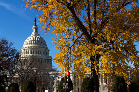 US Capitol Building, Washington DC, Fallのeditorial素材