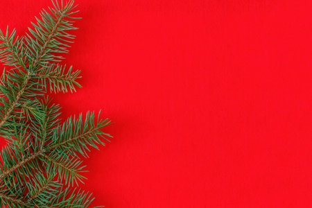 Christmas fir tree branches on a red background fir branches border on red background, good for...