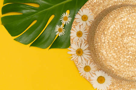 Womens summer straw hat on yellow background with monstera leaf and daisies, top view, flat copy space. Summer vacation concept, one subject. Female accessory, summer backgroundの写真素材