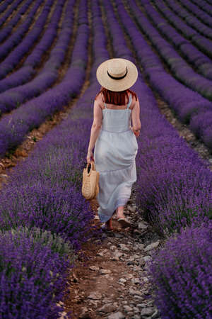 charming Young woman with a hat and white dress in a purple lavender field. LIfestyle outdoors. Back viewの写真素材
