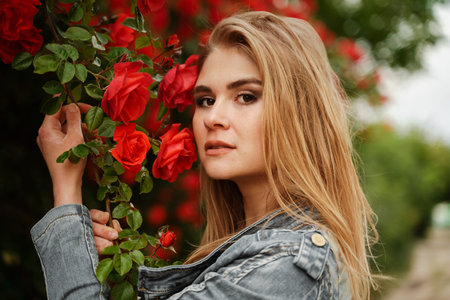 A cute blonde stands near a bush with red roses. Attractive European woman in a denim jacket.の写真素材