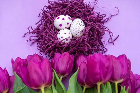 mothers day background. view from above. Beautiful bouquet of purple tulips on a purple background.の写真素材