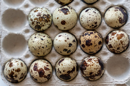 Spotted quail eggs in an egg box on a light background, natural eco-friendly products.