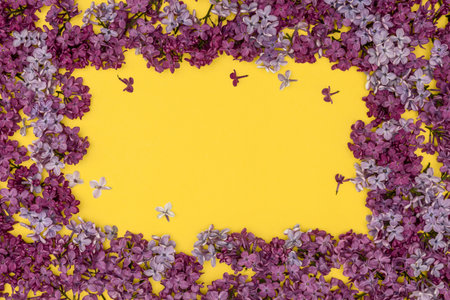 Decorative frame of lilac flowers and space for text. yellow background, flat lay. Space for textの写真素材