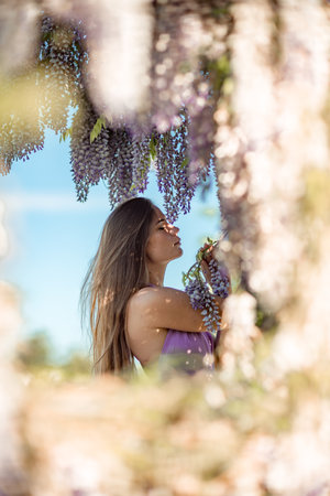 Woman wisteria lilac dress. Thoughtful happy mature woman in purple dress surrounded by chinese wisteriaの写真素材