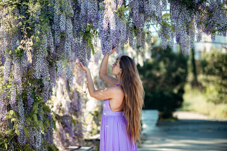 Woman wisteria lilac dress. Thoughtful happy mature woman in purple dress surrounded by chinese wisteriaの写真素材