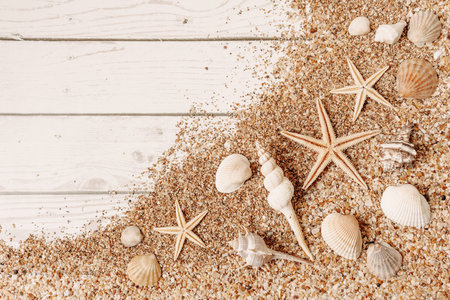 Sand seashells background. Summer time concept with sea shells and starfish on wooden background and...
