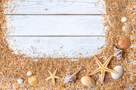 Sand seashells background. Summer time concept with sea shells and starfish on wooden background and sandの写真素材