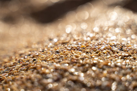 Golden sand on the coast at sunset with bokehの写真素材