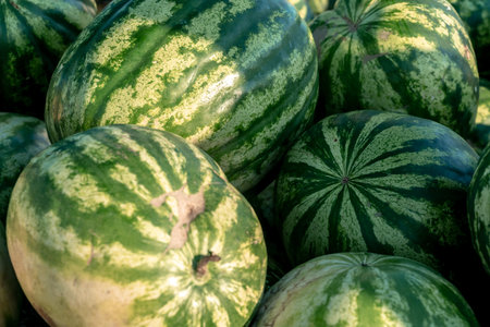 Many large sweet green watermelons are piled up.