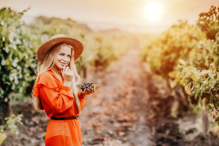 Portrait of a happy woman in summer vineyards at sunset. a woman in a hat and a red dress holds black grapes in her handsの写真素材