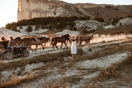 Slender girl with long hair looks at the horses grazing in the meadowの写真素材