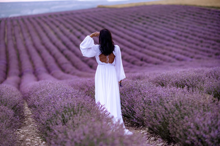 Woman lavender field. Lavender field happy woman in white dress in lavender field summer time at sunsetの写真素材