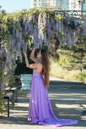 Woman wisteria lilac dress. Thoughtful happy mature woman in purple dress surrounded by chinese wisteriaの写真素材