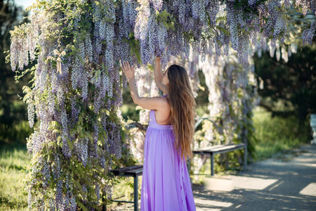 Woman wisteria lilac dress. Thoughtful happy mature woman in purple dress surrounded by chinese wisteriaの写真素材