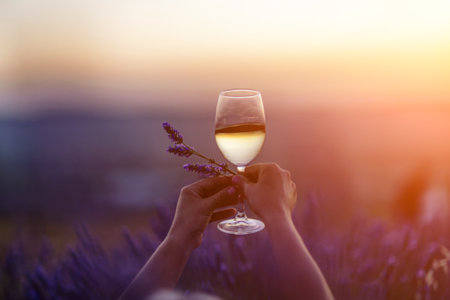 Glass white wine lavender field. Woman hand holds a glass with lavander and wine in the Lavender field at sunset Violet flowers on the background.. Conscious consumption. Wellness and natural conceptの写真素材