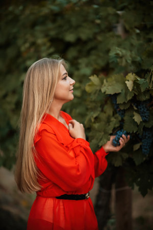 woman vineyards portrait of a happy woman in the summer vineyards at sunsetの写真素材