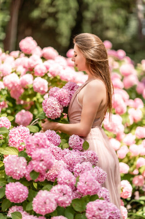 Hydrangeas Happy woman in pink dress amid hydrangeas. Large pink hydrangea caps surround woman. Sunny outdoor setting. Showcasing happy woman amid hydrangea bloom.の写真素材