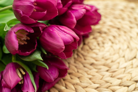 Bouquet of crimson tulips with yellow centers lie on a straw playmate, spring, flowersの写真素材