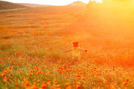 Happy girl poppy field walks under the evening sun. Back viewの写真素材