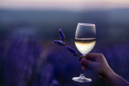 Glass white wine lavender field. Woman hand holds a glass with lavander and wine in the Lavender field at sunset Violet flowers on the background.. Conscious consumption. Wellness and natural conceptの写真素材