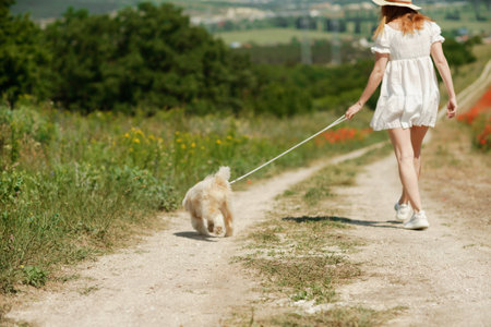 woman with dog. Happy woman walking with white dog the road along a blooming poppy field on a sunny day, She is wearing a white dress and a hat. On a walk with dogの写真素材
