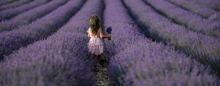 Lavender field girl banner. Back view happy girl in pink dress with flowing hair runs through a lilac field of lavender. Aromatherapy travelの写真素材