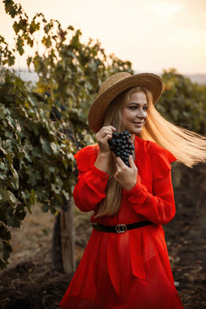 portrait of a happy woman in the summer vineyards at sunset. woman in a hat and smiling.の写真素材